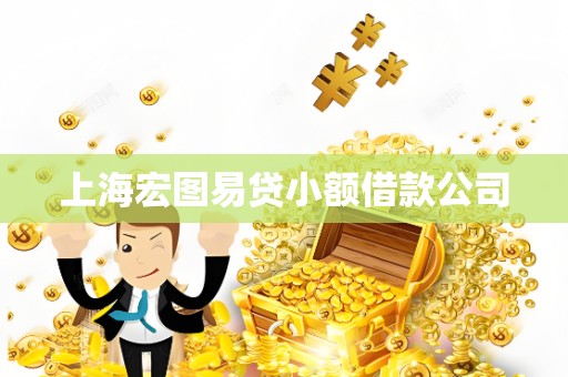 上海宏图易贷小额借款公司