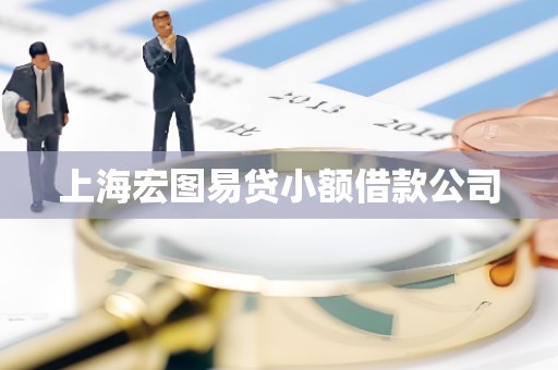 上海宏图易贷小额借款公司