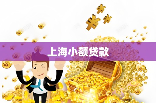上海小额贷款